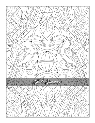 100 Amazing Patterns Adult Coloring Book - Therapeutic Relaxation During Treatment